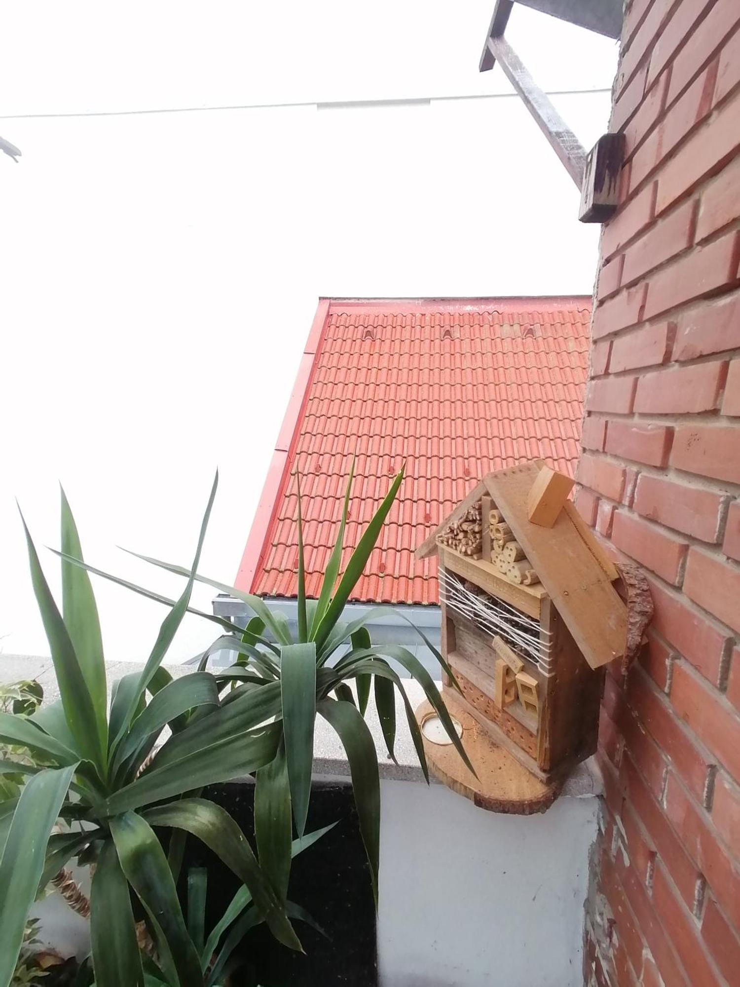 Ujkapu Sunshine Apartments Győr Rum bild